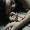 AWT IMAGE